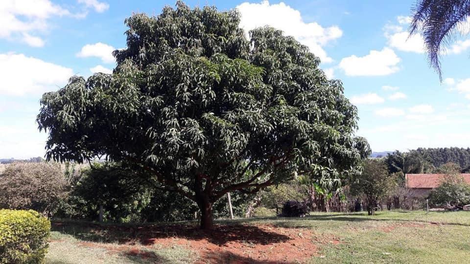 Sitio Em Atibaia - Sitio Beija-Flor Villa Exteriör bild